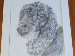 Black and white dog commission